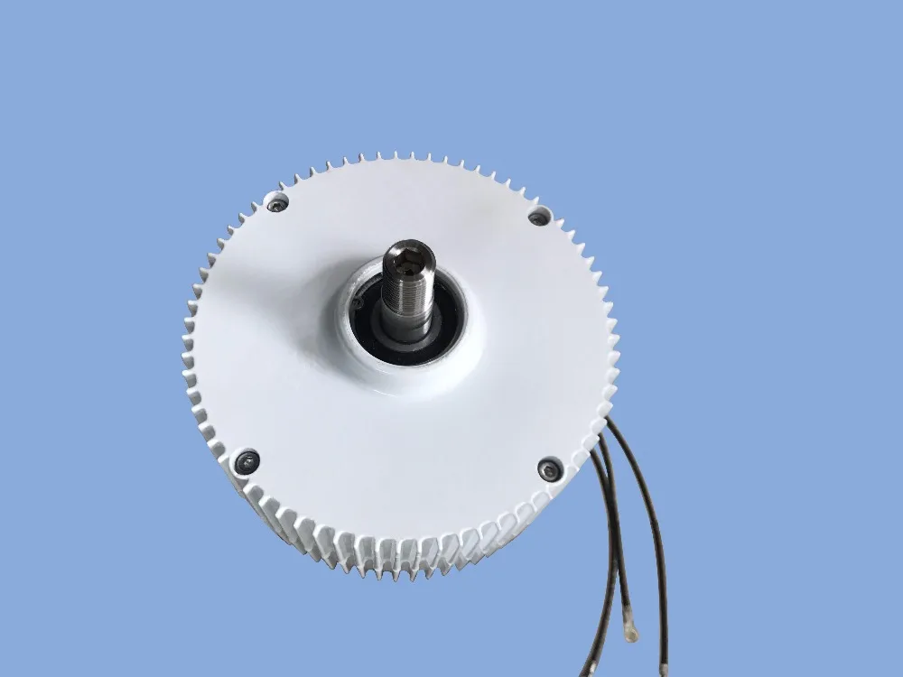 Низкоскоростной генератор переменного тока с постоянным магнитом 300 Вт PMG для