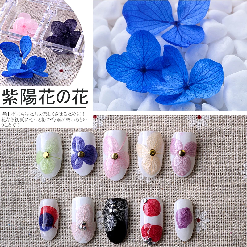 12 цветов/коробка 3D настоящий сухой цветок горный хрусталь коробка для хранения