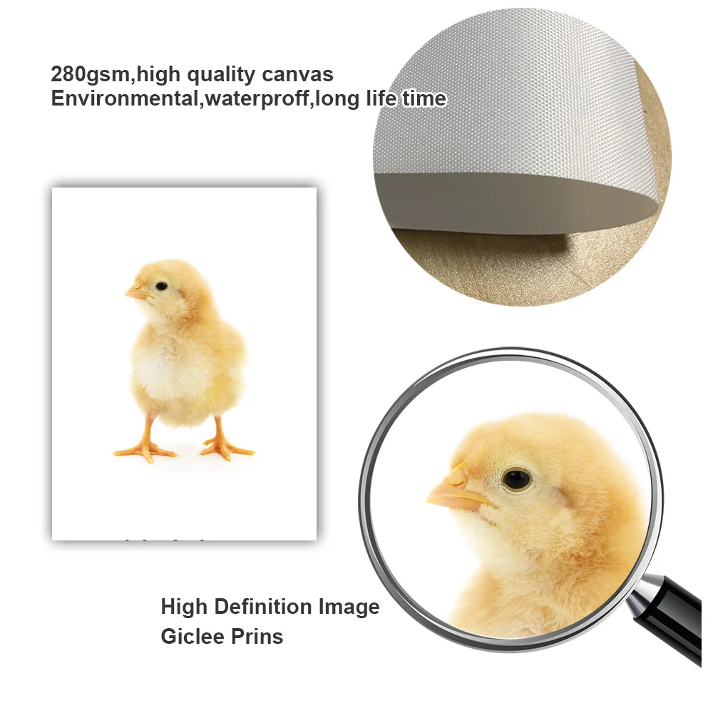 Кролик Сова кошка ежик коала Цыпленок животные скандинавские постеры и принты