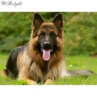 Алмазная вышивка 5d сделай сам с животными, немецкая овчарка, собака, персонализация, вышивка крестиком, мозаика, стразы, домашний декор