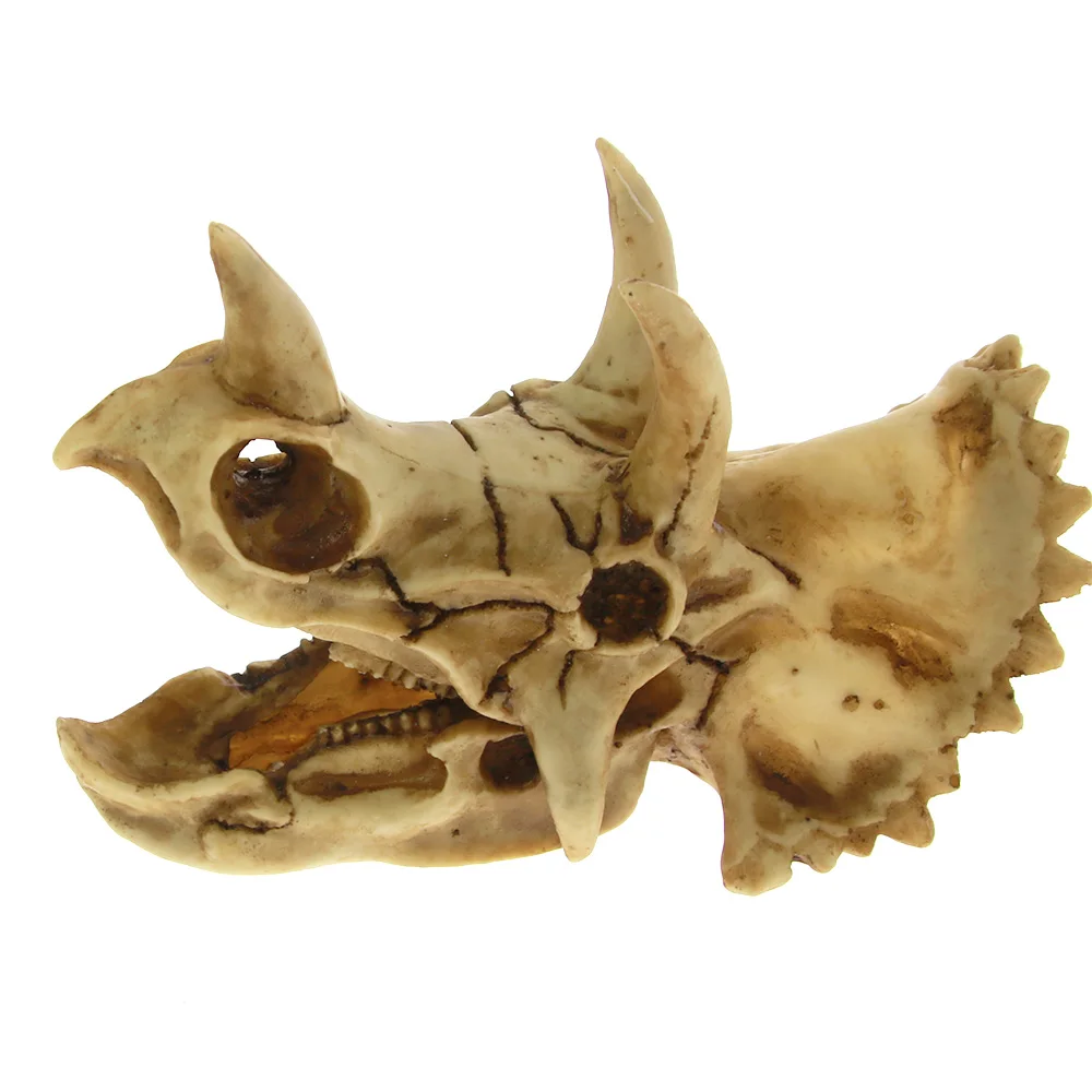 1 шт. череп динозавра Трицератопс голова Скелет смолы ремесло Миниатюрная модель