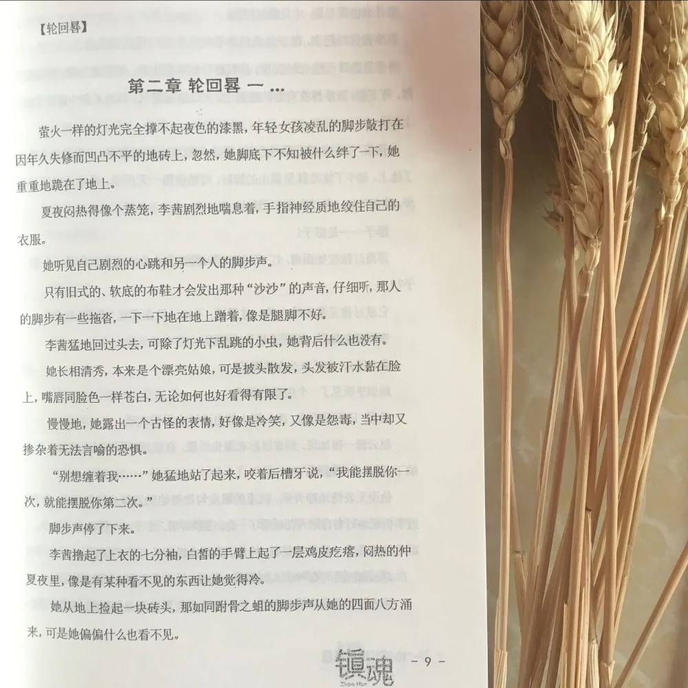 2 книги Zhen Hun Guardian price китайская книга ТВ драма программа Zhu YiLong Bai Yu Actor Fantasy Suspense