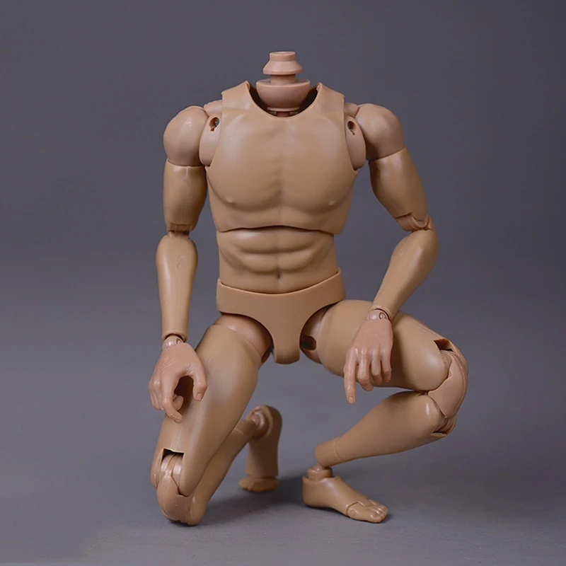 

12'' Male Skin Color Bodies with Narrow Shoulder for 1/6 Head Sculpts Models