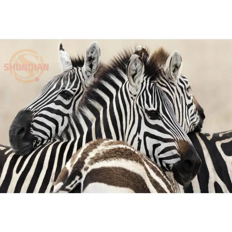 Новинка Обувь для прогулок на постер с зеброй из сатина печати плакатов ткань