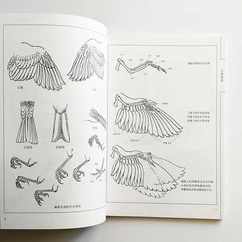Книга-раскраска Wang Manliang 96 страниц искусство воробей раскраска антистресс для