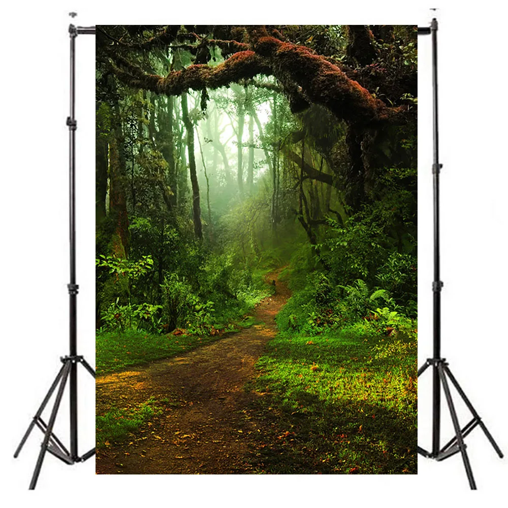 NeoBack Джунгли Лес фотографии фоны природа сцена лес фото фон тема Вечерние