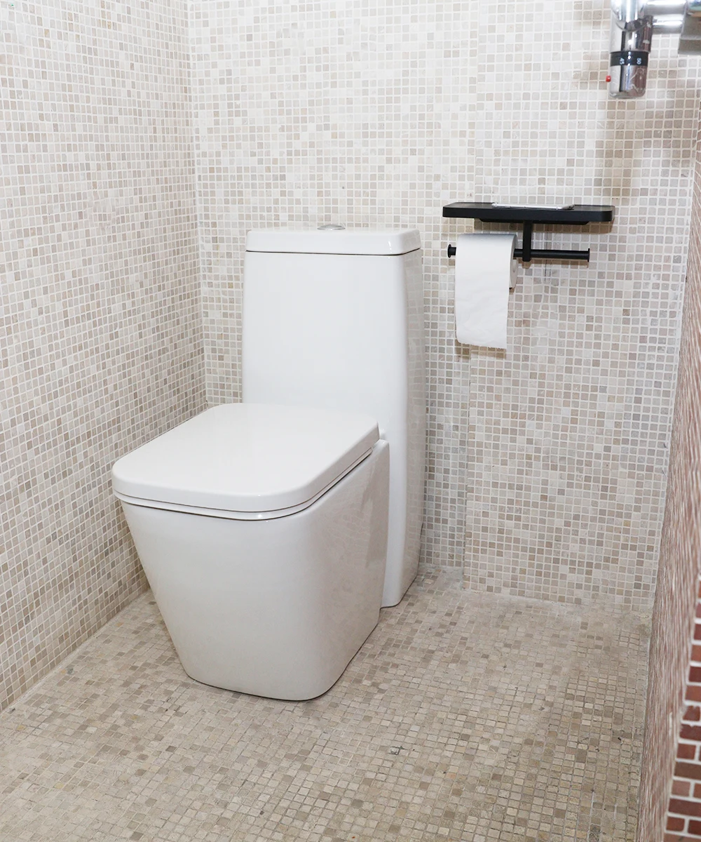 CRW многофункциональная двойная полка для туалетной бумаги с настенной ванной