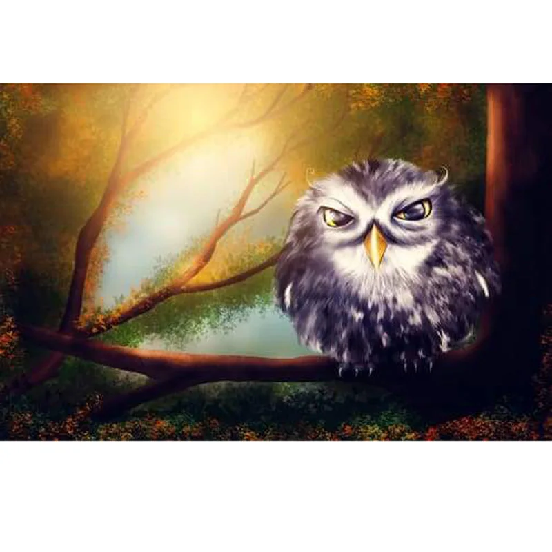 

Diy 5d Round Owl Diamond Painting World Full Drill Square Round Paint By Diamonds Bright Rhinestones Home Decor