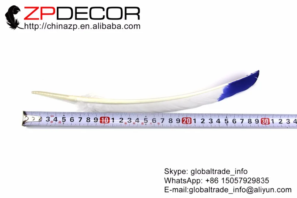

ZPDECOR 50pieces/lot 30-35cm(12-14inch) Premium Quality White Tipped Royal Blue Dyed Turkey Quill Wing Feather for Cheap Sale