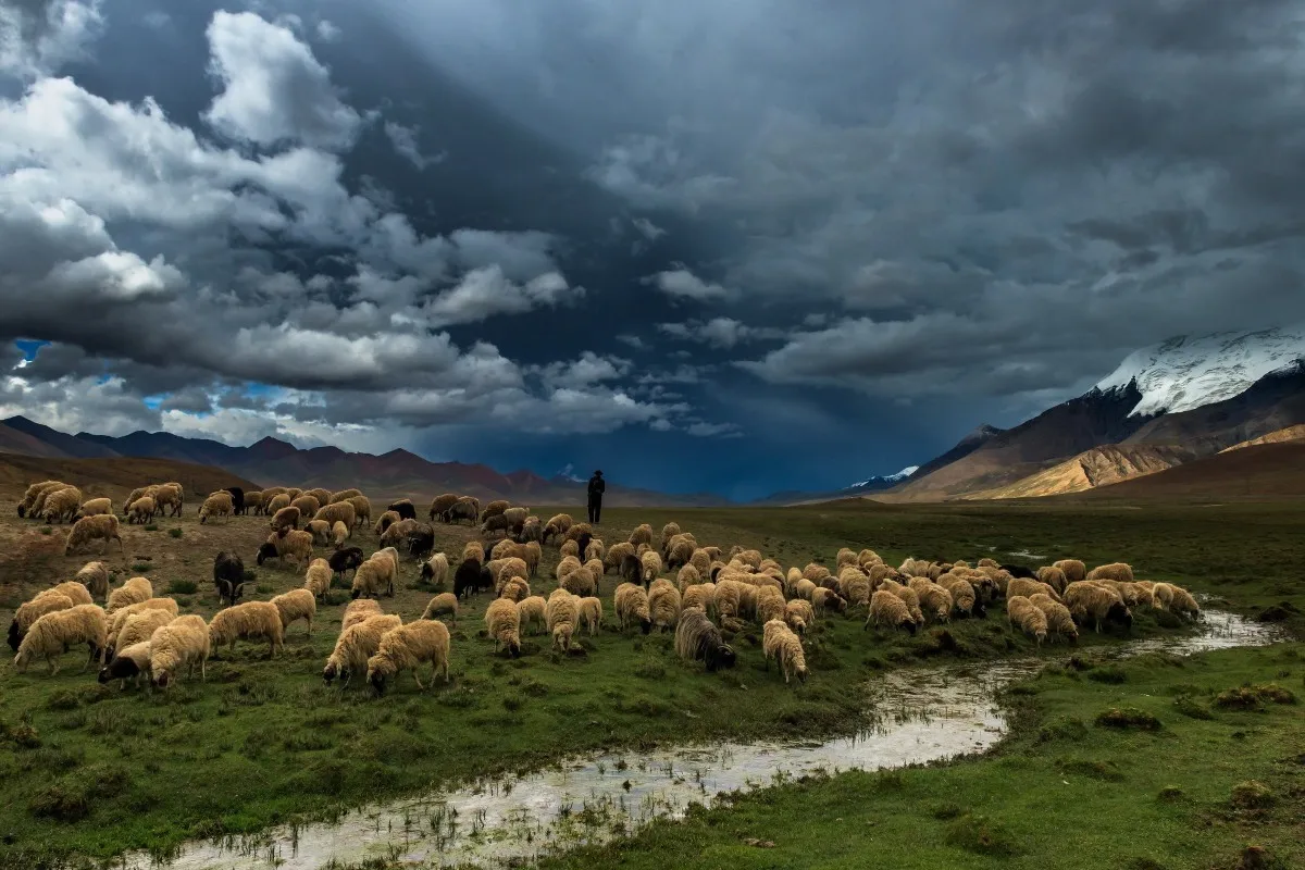 

prairie landscapes sheep stream 370PFJ fabric poster custom print (frame available) for wall art room decor home decoration