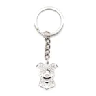 Ювелирные изделия из сплава для домашних животных, собачьи брелки, женские Брелки для собак Pitbull