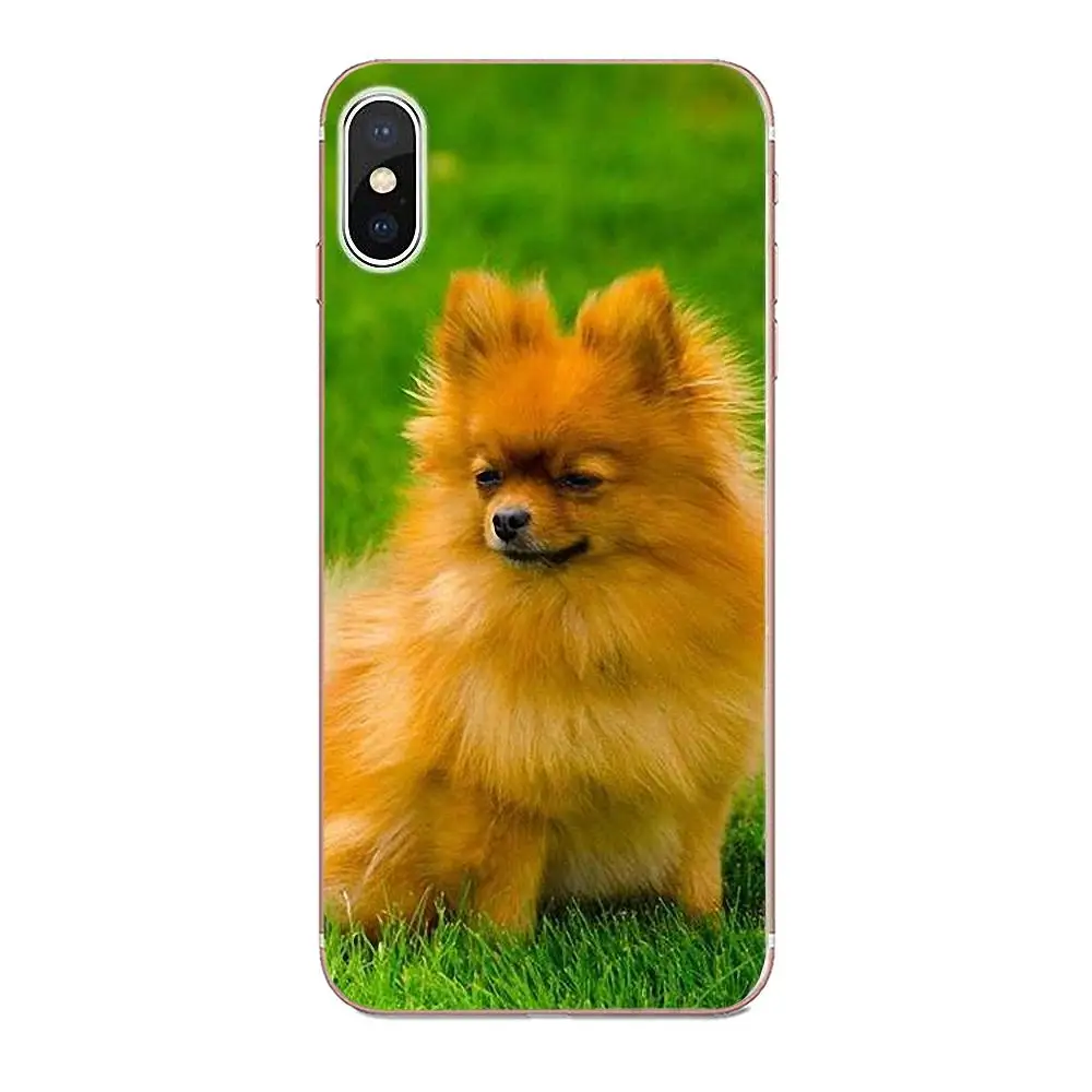 Pomeranian Dogs милая мягкая коробка для звонков Huawei P7 Honor 4C 5A 5C 5X 6 6C 6A 6X 7 7X 8 9 V8 V10 Y3II Y5II Y6II G8