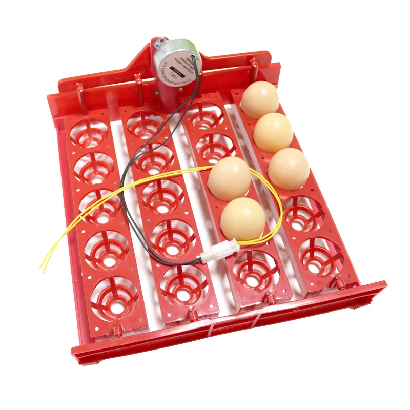 

20 Eggs Turn Tray Incubator Chickens Ducks And Other Poultry Incubation Equipment 110V / 220V 4 * 5 Holes Free Shipping