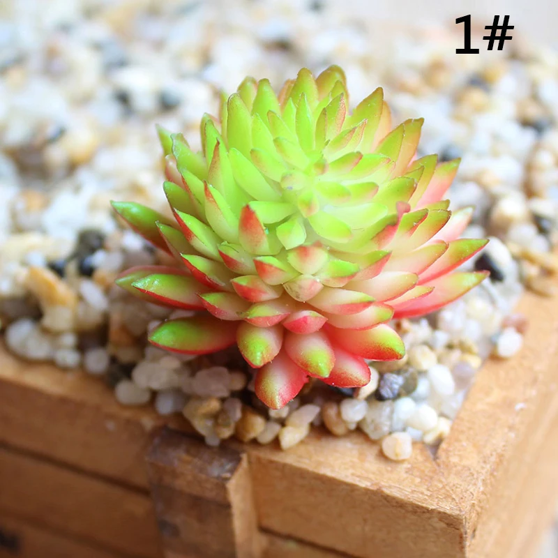 Искусственные пластиковые миниатюрные сочные растения кактус эчеверия