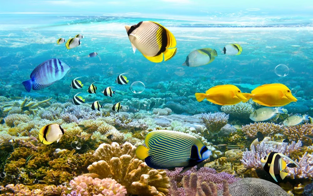 Modern Home Decor Fashion Decoration For Bedroom Aquarium Fish Coral Photo Curtains | Дом и сад