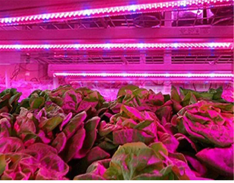 Светодиодный светильник постоянного тока 12 В полный спектр 5 м светодиодный 5050