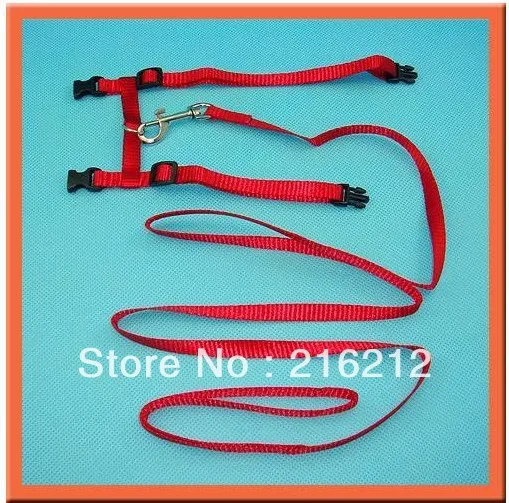 2 цвета регулируемый ремень котенка нейлоновый ошейник застежка поводок