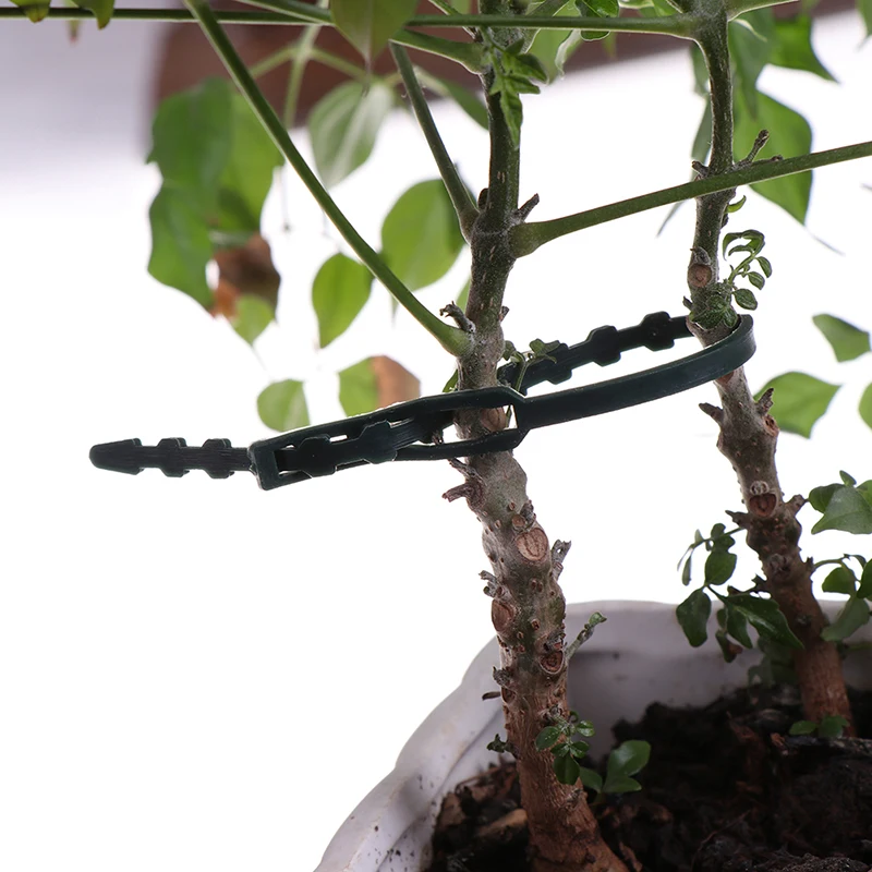 50 ШТ. РЕГУЛИРУЕМЫЕ САДОВЫЕ ПЛАСТИКОВЫЕ КАБЕЛЬНЫЕ СТЯЖКИ ДЛЯ РАСТЕНИЙ