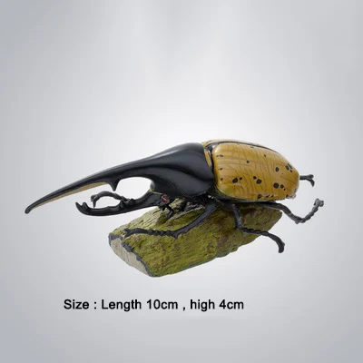 Dynastes hercules 11 шт., насекомые, японский носорог, жук, олень, жук, карманный червь, модель животного, фигурка, Детские коллекционные игрушки - Цвет: Dynastes hercules