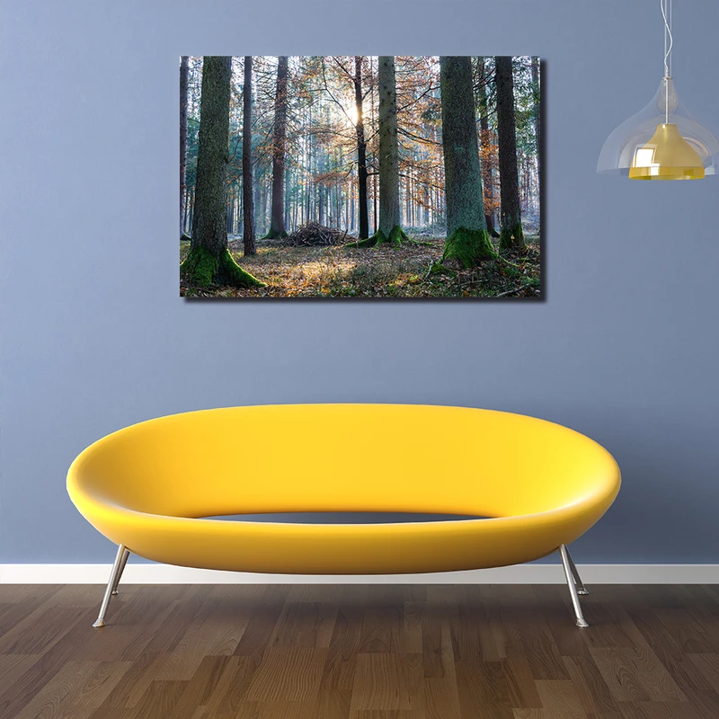 Diy 5D лес, нарисованный бриллиантами Sunrise зеленые деревья полная квадратная Алмазная мозаика Алмазная вышивка декорация узор горный хрусталь