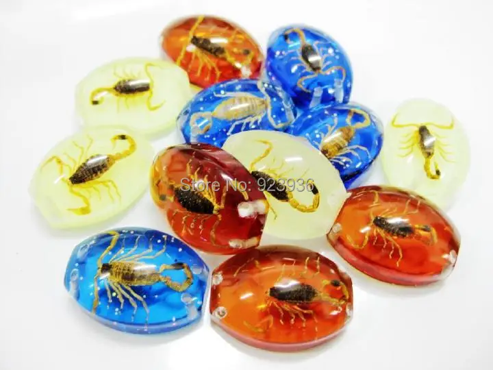 

12 PCS GOLD SCORPION COLORFUL BOTTOM BEAD INSECT COOL FINE TAXIDERMY GIFT