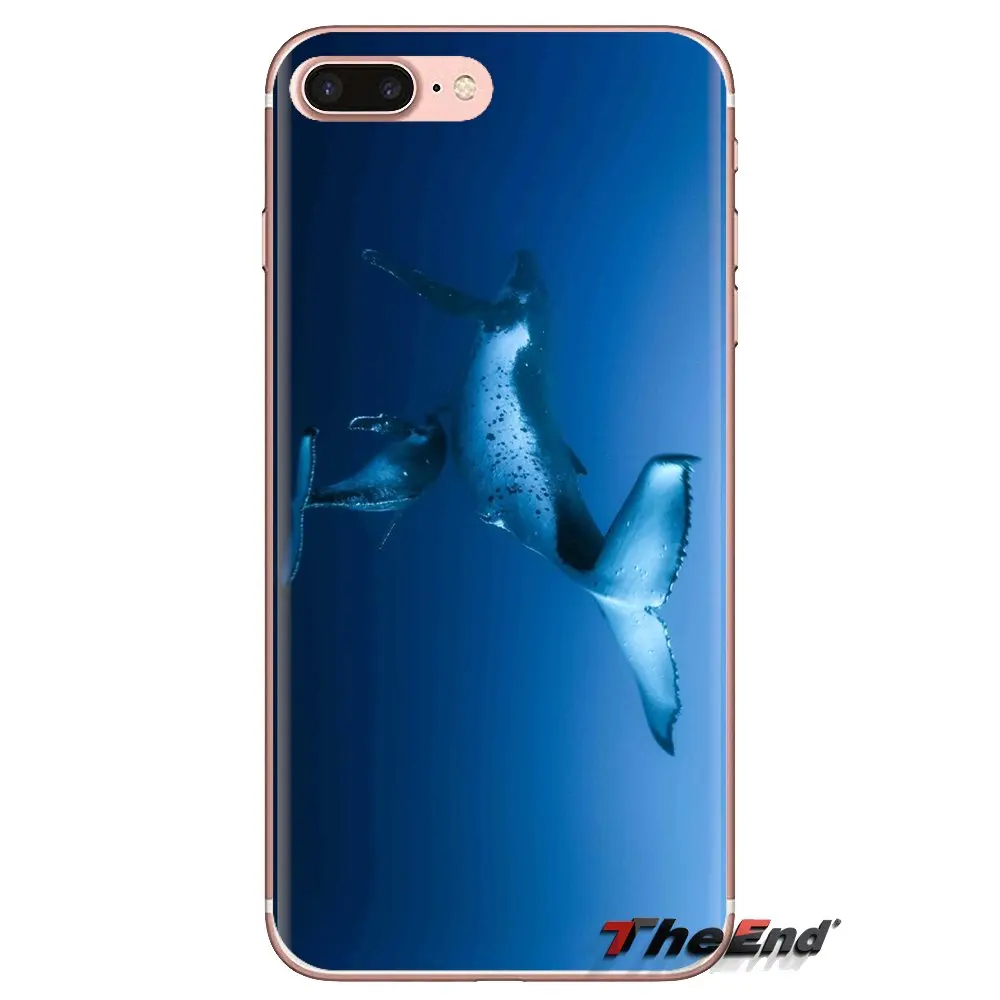 For iPod Touch Apple iPhone 4 4S 5 5S SE 5C 6 6S 7 8 X XR XS Plus MAX Whale Marine life Cool Soft Transparent Shell Covers |