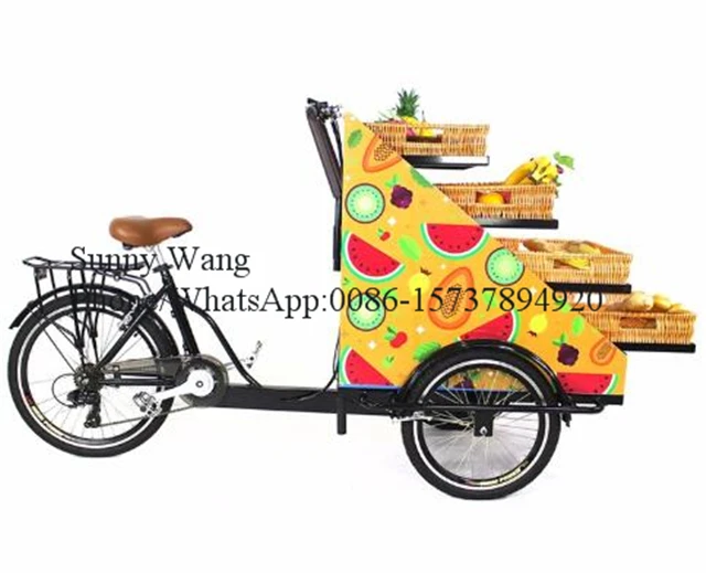 Electric snacks cart retail bike sale of fruits and vegetables electric three wheel tricycle food fruit truck | Бытовая техника
