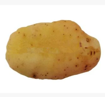 potato Игрушка для домашних животных кусачки кошачий щенок для маленькие игрушки для собак фрукты овощи курица скрипучие игрушки креативные Кошки моделирование игрушечные домашние питомцы 7C4 - Цвет: potato