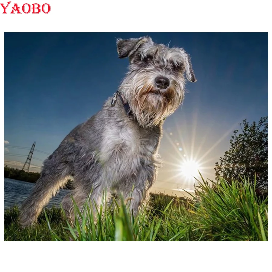 Алмазная вышивка 5d своими руками для животных домашних собак schnauzer алмазная