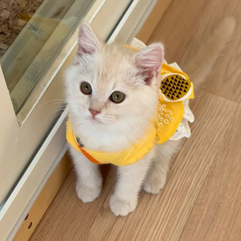 Милые платья для кошек с ананасом; летнее охлаждающее платье для кошек; юбка; одежда с котенком; Одежда для животных; kedi elbisesi ropa para gato