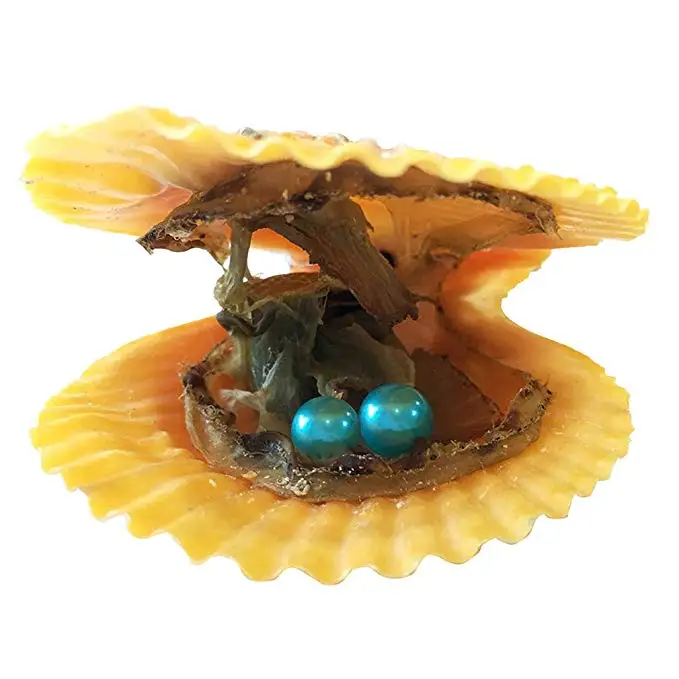 HENGSHENG 20 штук красные Oysters with Twins почти круглые жемчужины внутри Akoya жемчужные для