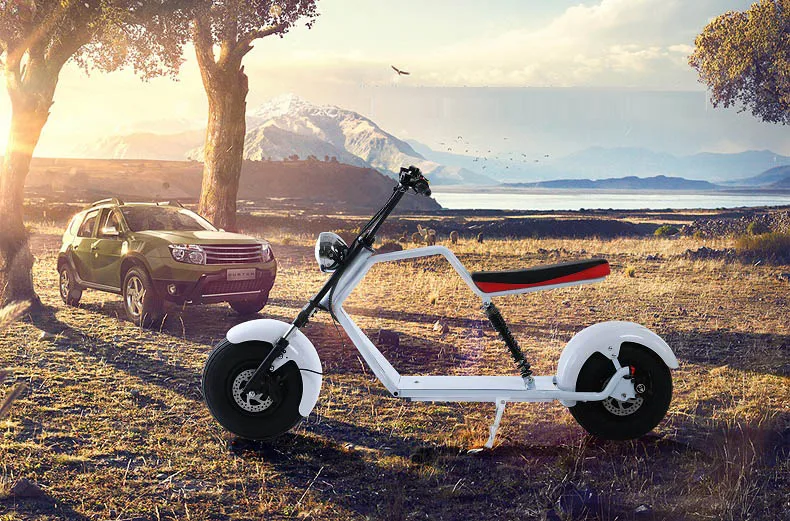 Электрический литиевая Батарея Citycoco для е-байка 60V 12/20AH двойной дисковый тормоз Противоугонная Системы Moto Лонгборда в байкерском стиле
