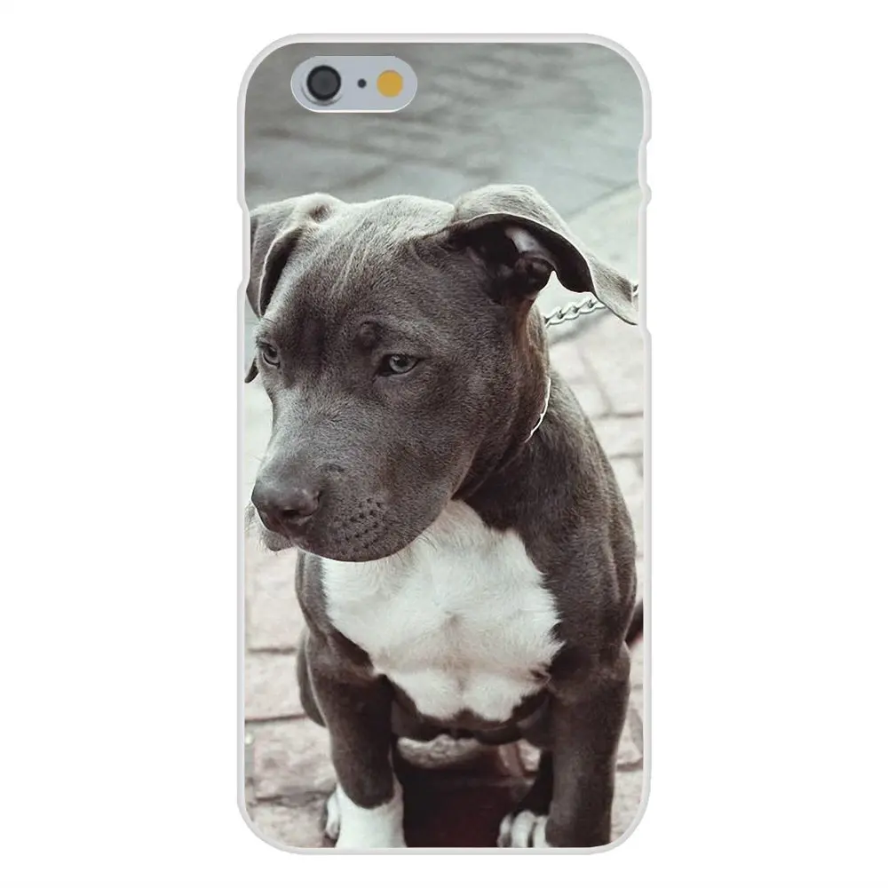 Pitbull Dog Для Galaxy J1 J2 J3 J330 J4 J5 J6 J7 J730 J8 2015 2016 2017 2018 mini Pro Специальное предложение