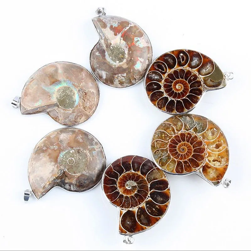 6 пар металлических подвесок из натурального аммонитового камня|pair pendant|stone