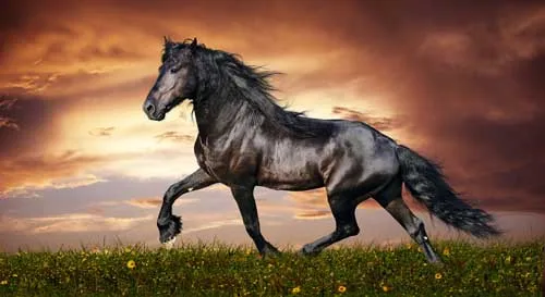 Galloping horse office wall painted fabric poster 43&quotx 24&quot 24 &quotx 13&quot Decor 05 | Дом и сад