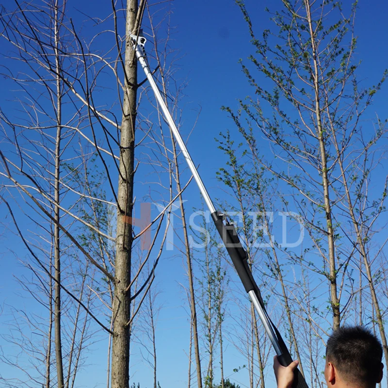 

Electric Pruner with Extension Arms to 2.1 meter