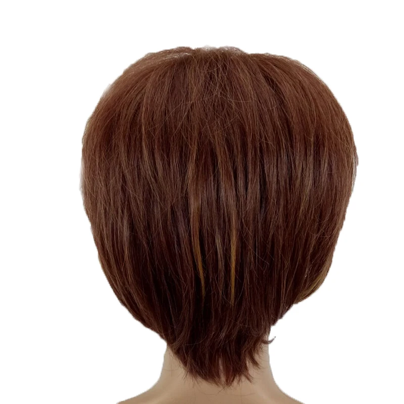 HAIRJOY мужской женский слоистый парик из синтетических волос Короткие натуральные парики мужской коричневый полный парик