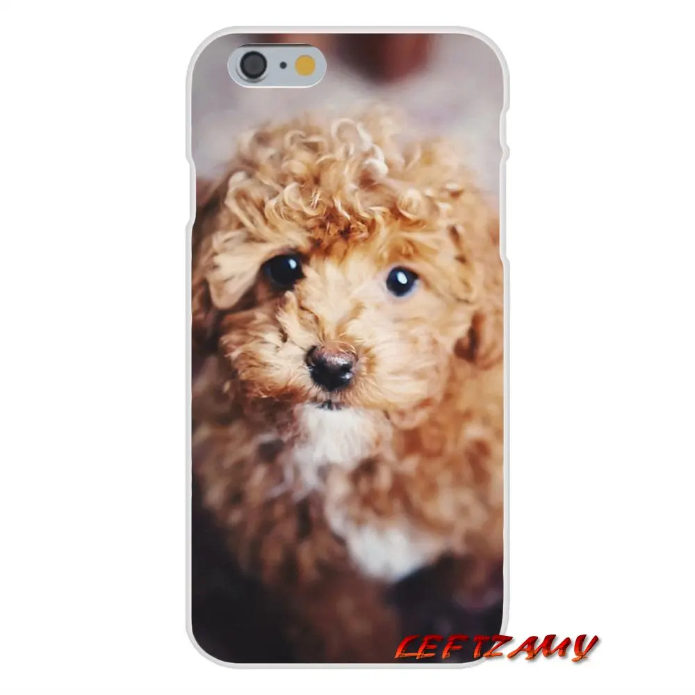 cocker spaniel puppy Slim Silicone phone Case For Samsung Galaxy S3 S4 S5 MINI S6 S7 edge S8 S9 Plus Note 2 3 4 5 8 | Мобильные