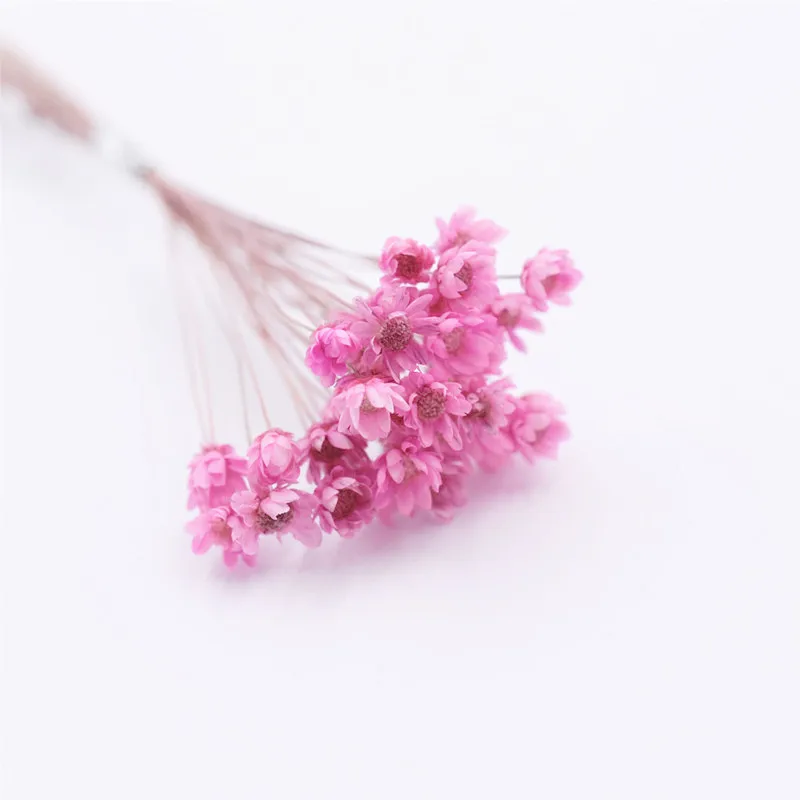 pink 30 шт. милая маленькая Маргаритка Натуральные сушеные цветы декоративные изделия стеклянный глобус наполнитель для силиконовой формы ювелирных изделий diy - Цвет: pink