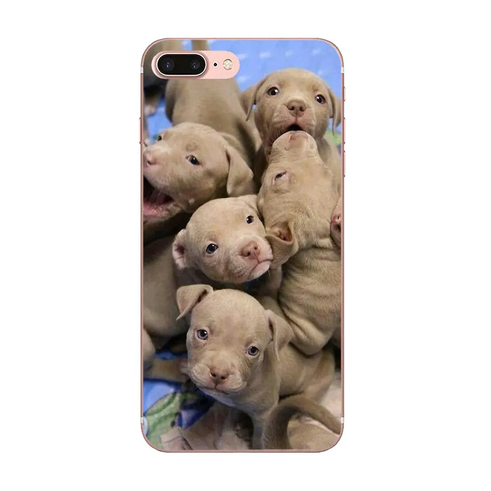 Soft Silicone TPU Transparent Cell Phone Case Cover For Apple iPhone 4 4S 5 5C 5S SE 6 6S 7 8 Plus X XS Max XR Pitbull Dog Puppy | Мобильные