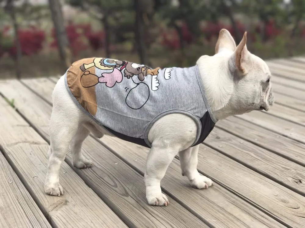Вязаная одежда для мопса. Свитер для собак. Одежда для собаки из старого свитера. Одежда собаке из свитера. Свитер для собаки из рукава.