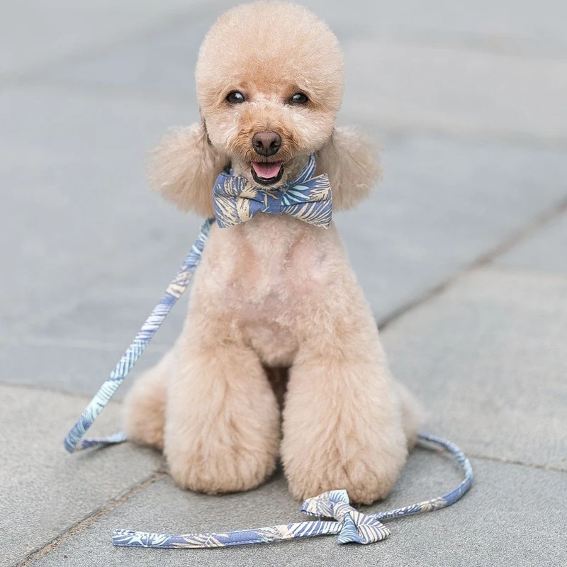 Поводок для собак с узором в виде перьев набор поводков жилет маленьких галстук