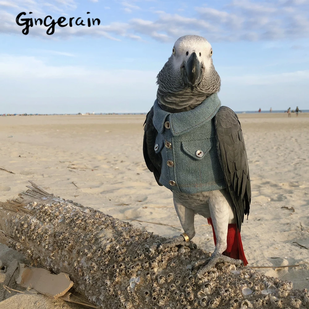 Gingerain одежда с птицами для попугаев Оригинальная ручной работы мотоциклов и
