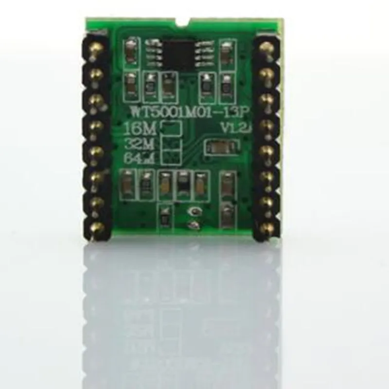 5 шт. WT5001M01 16P модуль для Mp3 пинбол игра качели машина оборудование развлечений