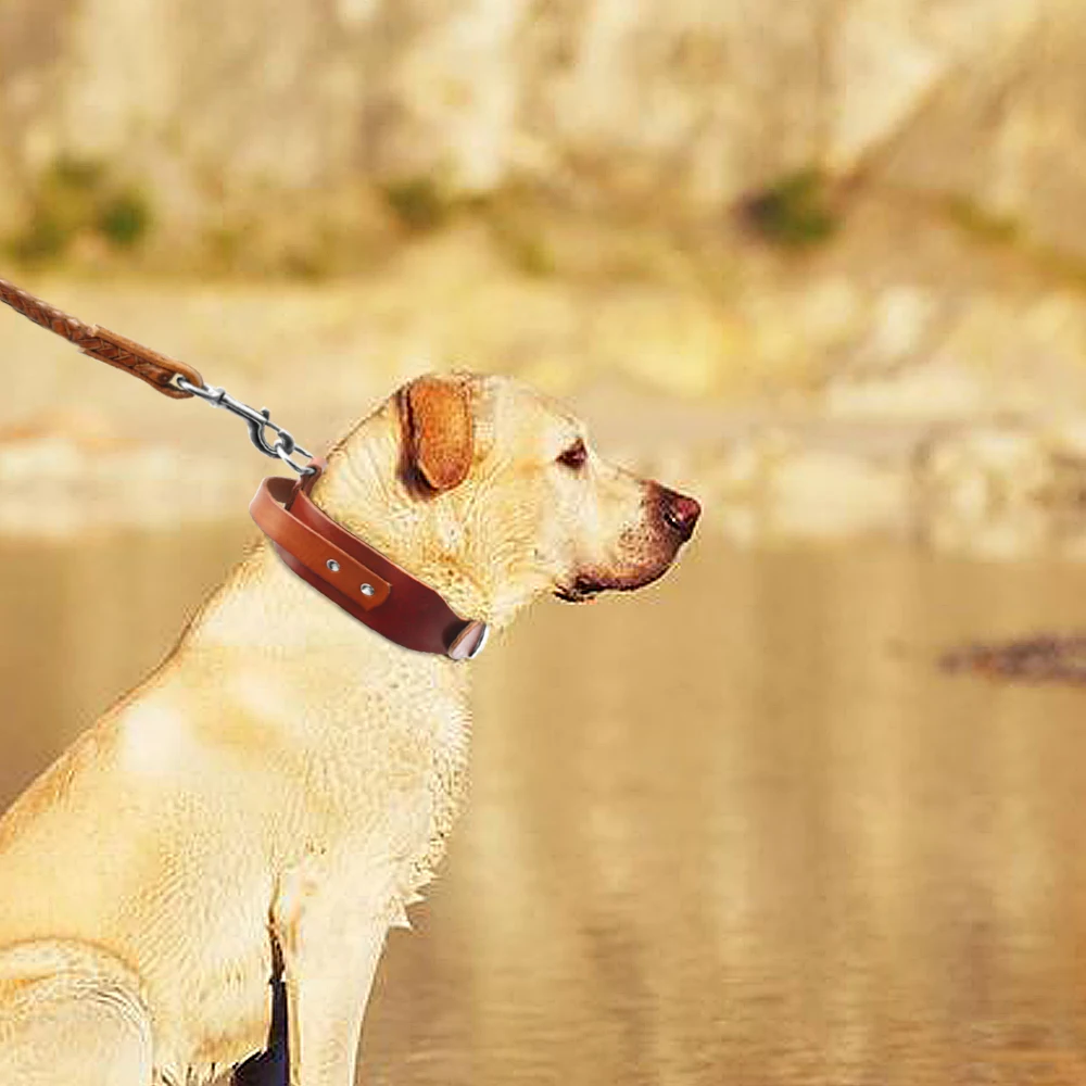 Ошейник для дрессировки собак из натуральной кожи 17 21 дюйм|leather film|leather leash and