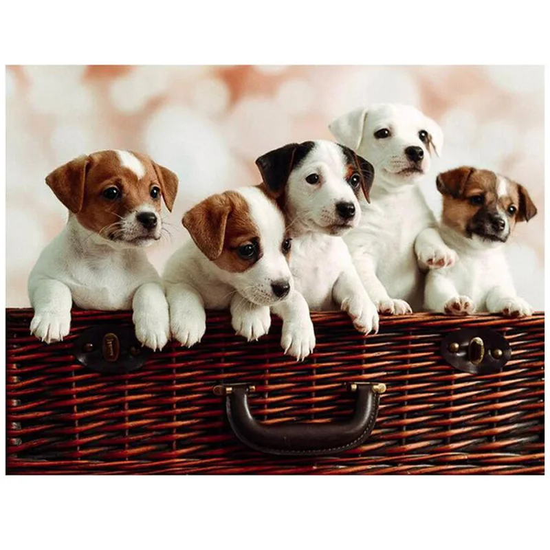 Полностью квадратная круглая Алмазная картина вышивка крестиком jack russel puppies