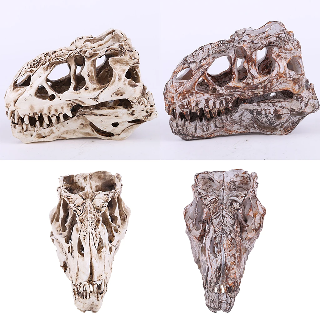 Resin T-rex Skull Replica Skeleton Figurine Collection Bar Decor White | Дом и сад