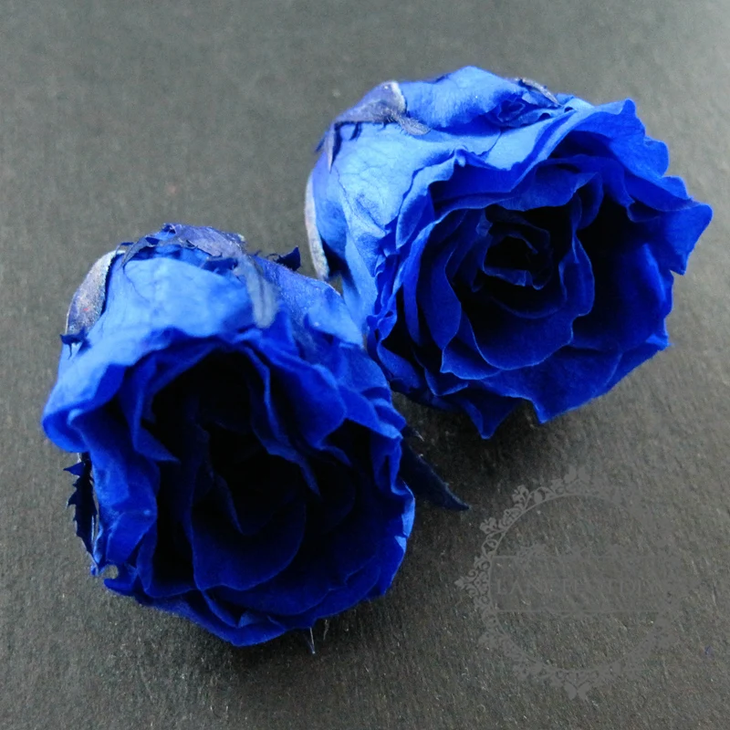 2-3 см красный синий фиолетовый белый желтый натуральный окрашенный сохраненный