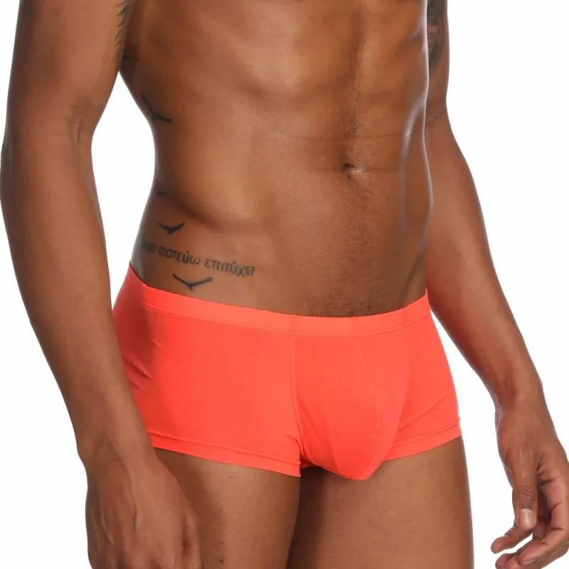 Pinky Senson Summer Ice Silk Men Underwear Seamless Transparent Boxer Short Ultra Thin Sheer Breathable Pantie Underpant
