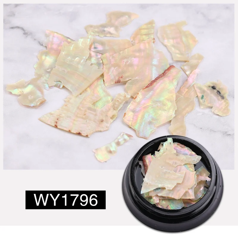 WY1796 Натуральный Abalone Shell неровный Фрагмент дизайн ногтей 3D Шарм украшения ломтик DIY наклейки для ногтей УФ гель акриловые ногти маникюр - Цвет: WY1796